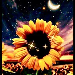 Meet your Posher, Sheryl